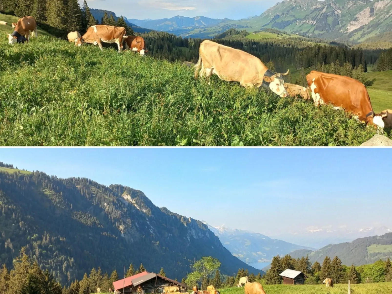 Fewo Wychelboden-Buiten