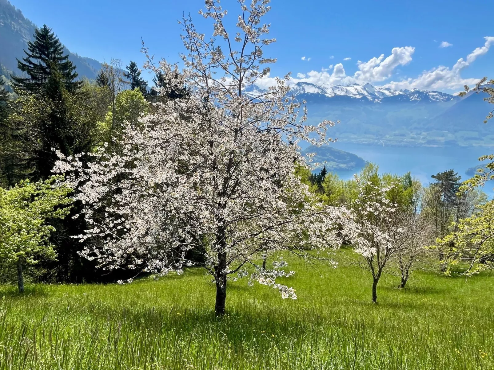 Chalet Bärgblick-Image-tags.info