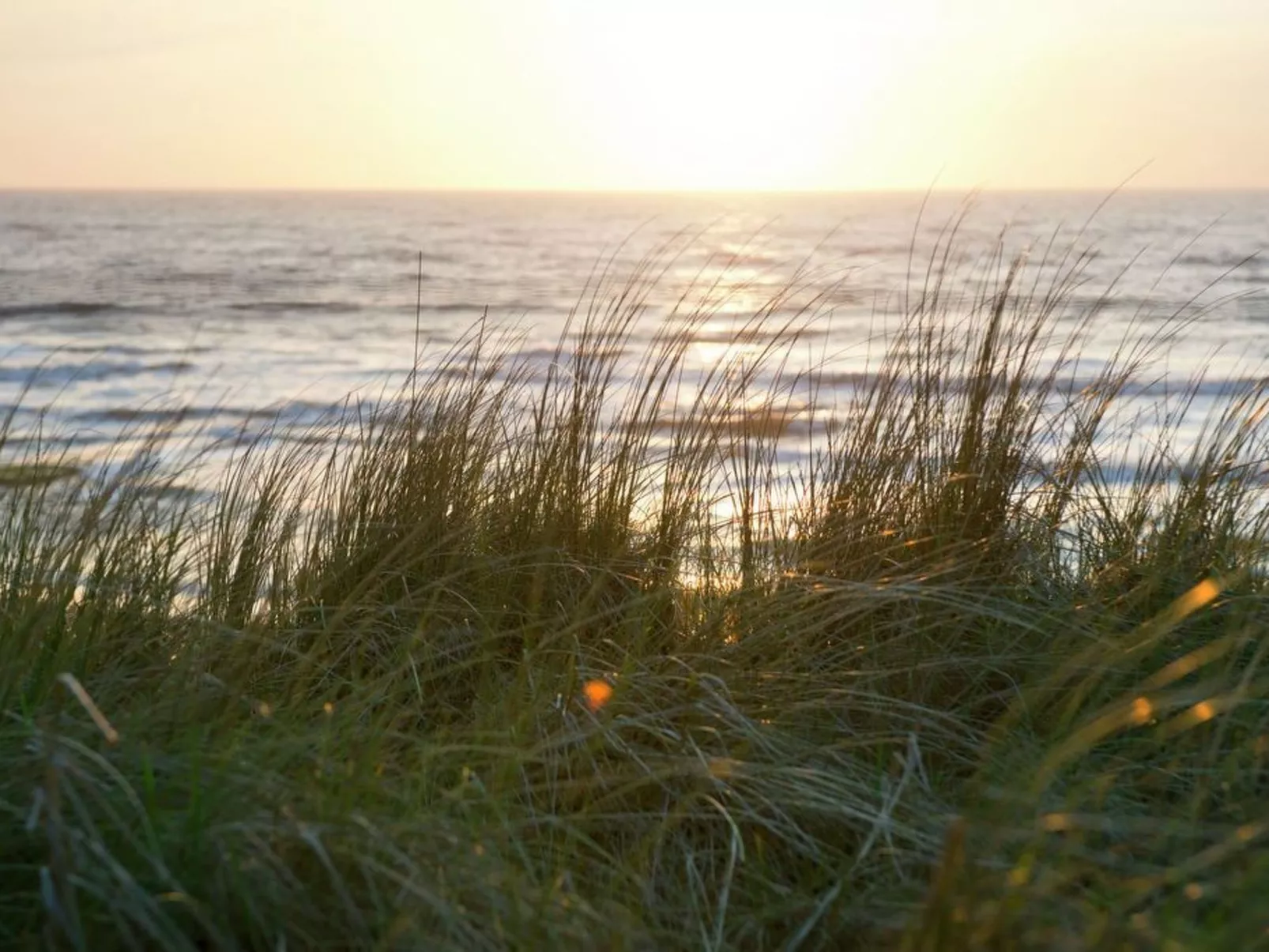 Gemütliches Ferienbungalow mit Garten-Buiten