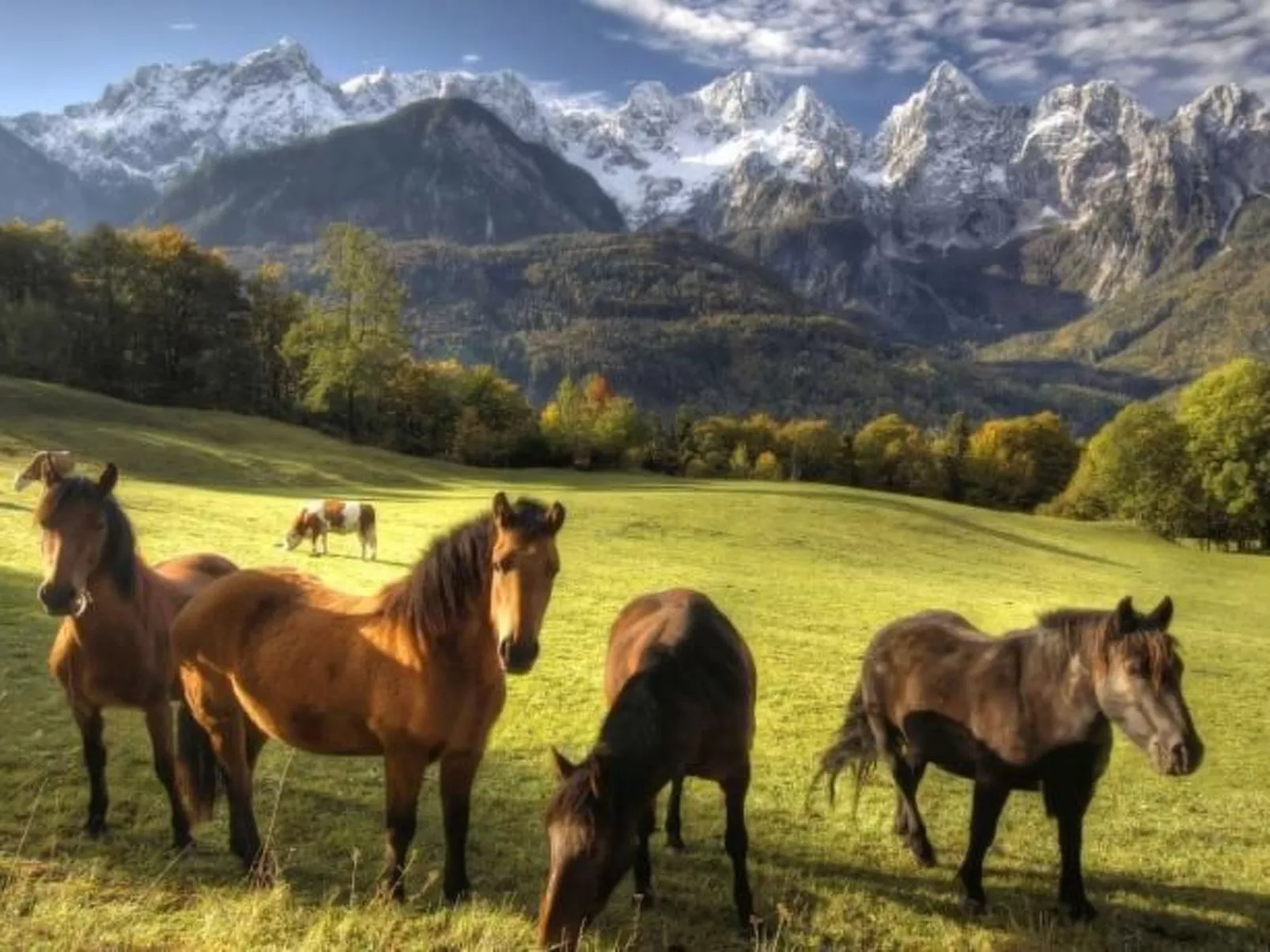 Tolle Ferienwohnung in Zasip mit Parkplatz-Image-tags.info
