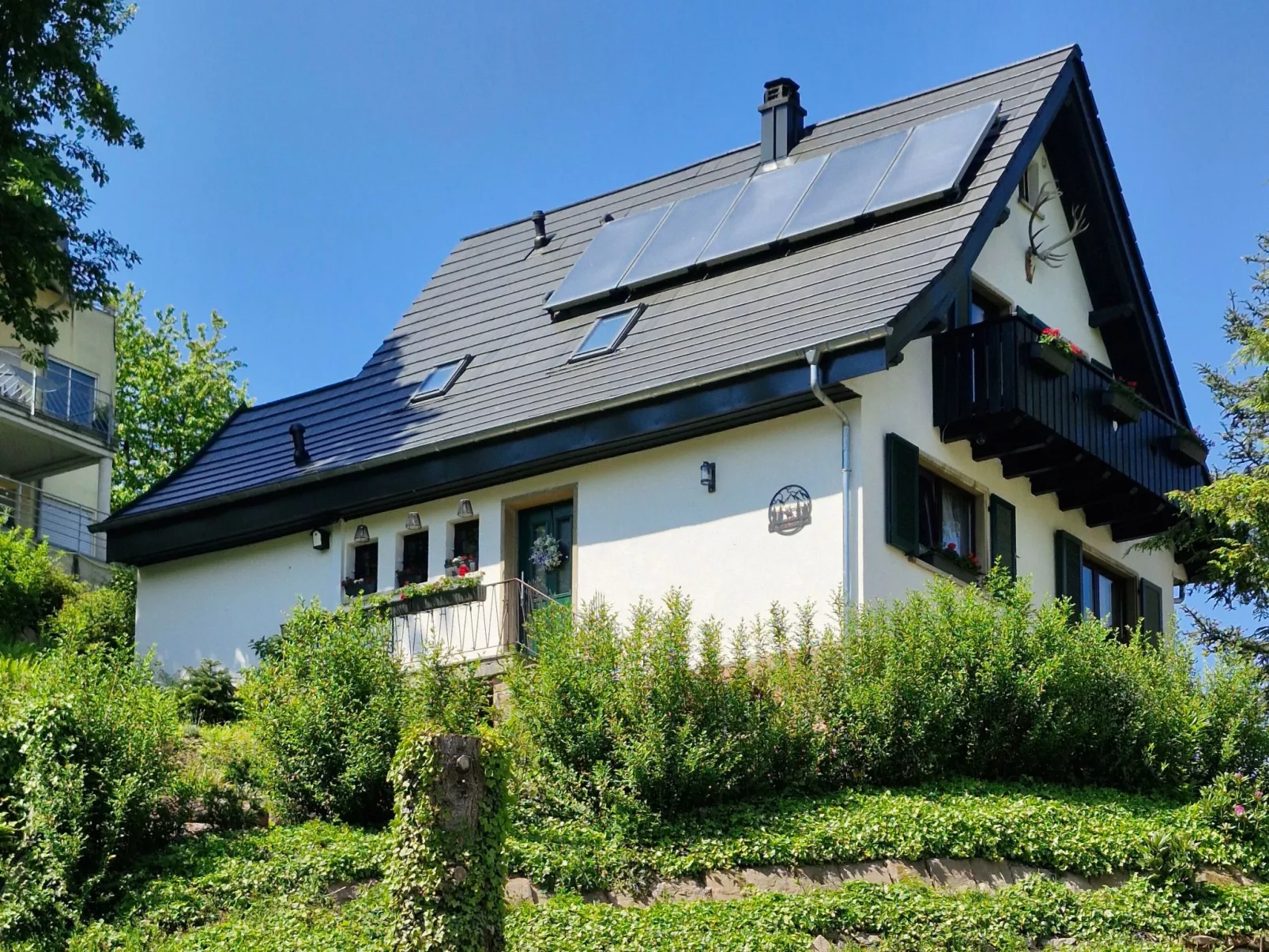 Schwarzwald Königin-Buiten