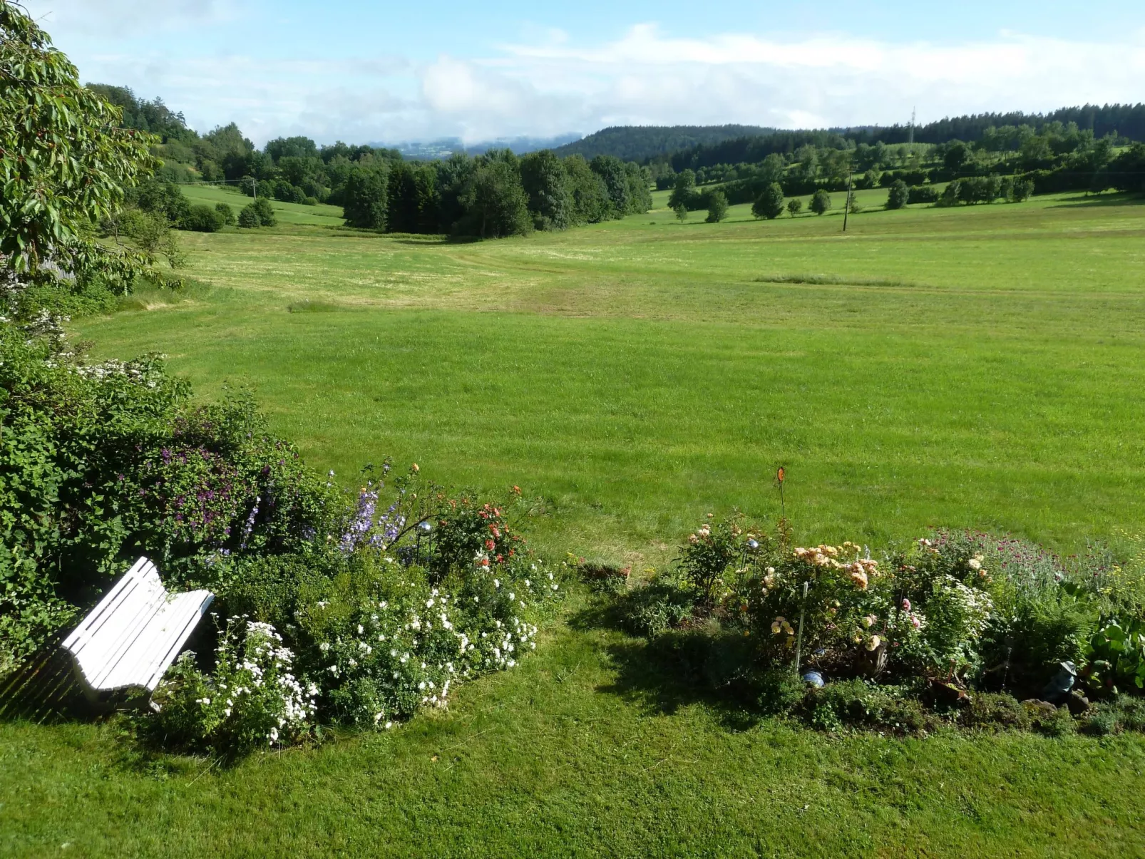 Wildfeuer-Image-tags.info