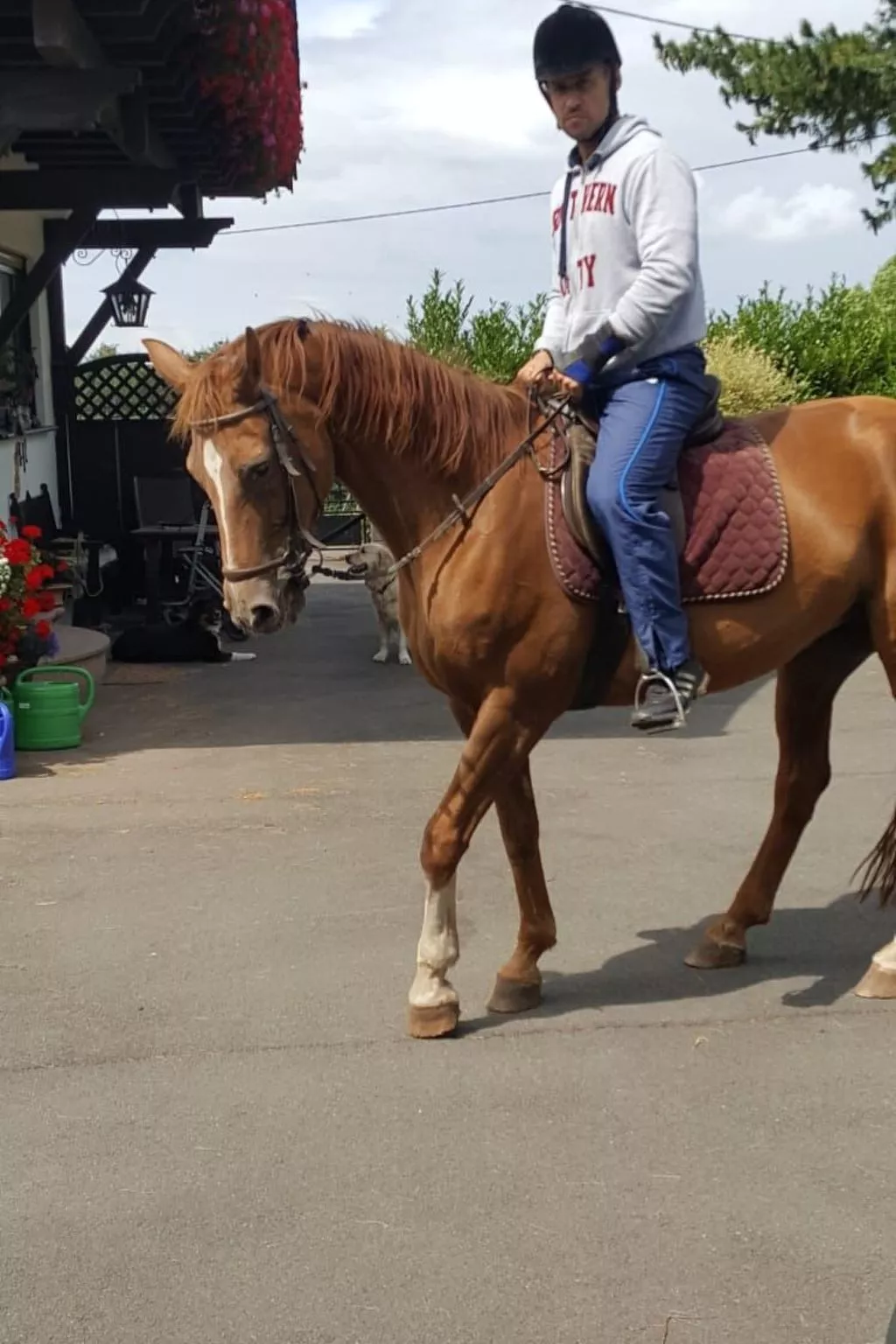 Scheunen Nest-Image-tags.info