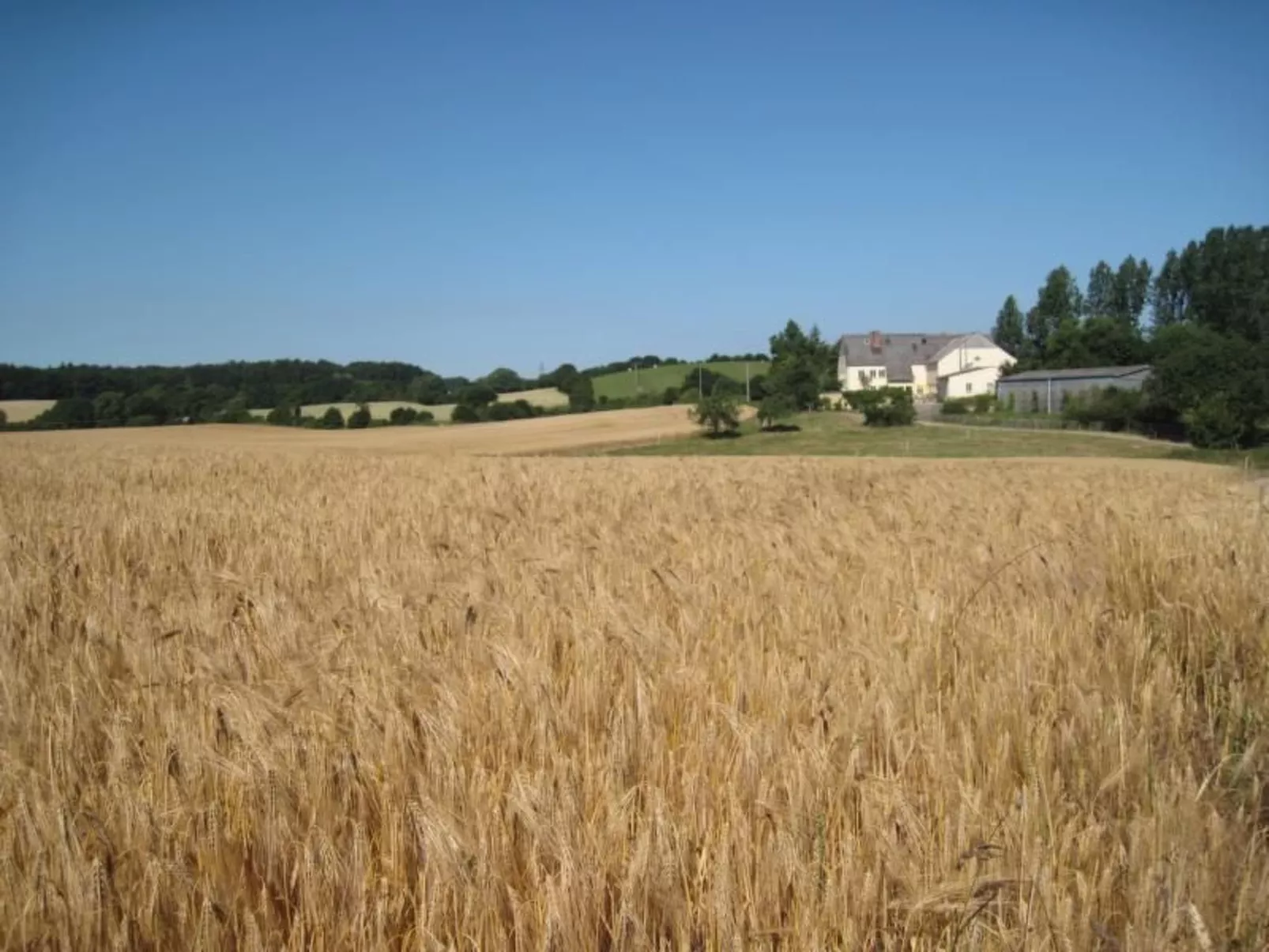 Hof Rodenkrog Fewo 2-Image-tags.info