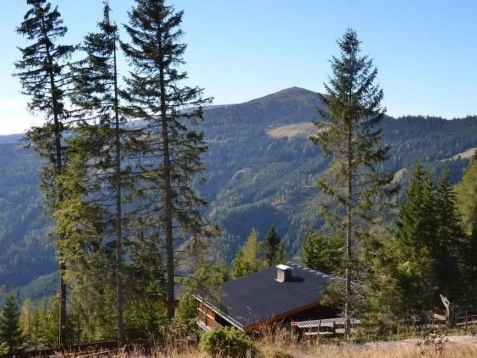 Almhaus am Hohenwart-Buiten