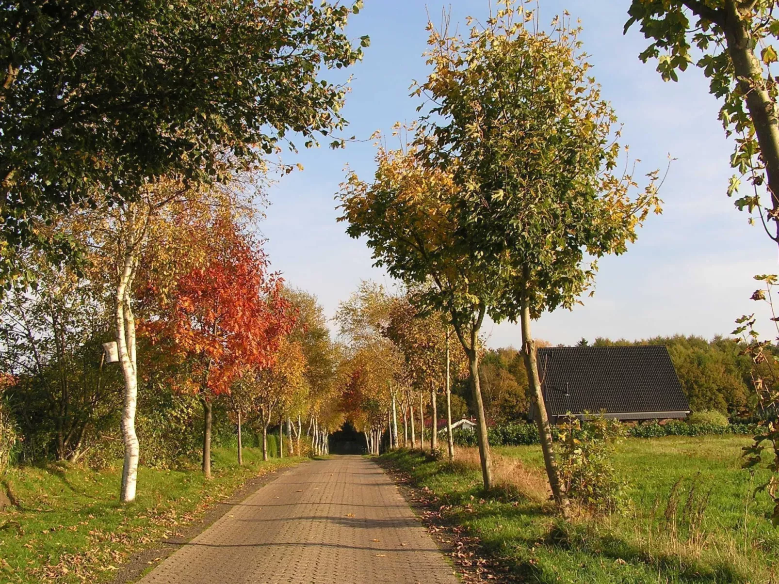 Bungalow Hechthausen-Buiten
