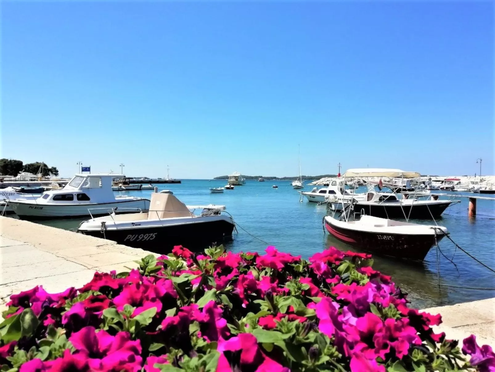 Brioni Sunset Fazana-Image-tags.info