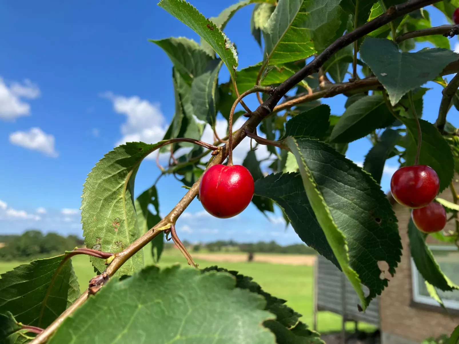 Gemütliche Ferienwohnung in Brodersby-Schönhagen-Buiten