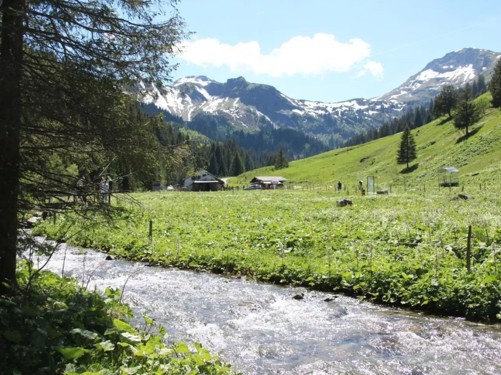 River App., Morgins-Image-tags.info