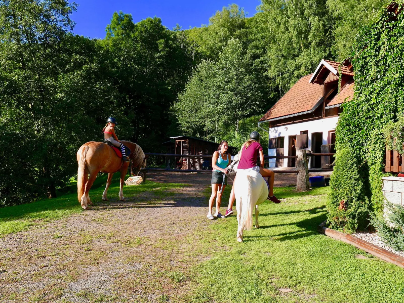 Mit Terrasse - Buiten