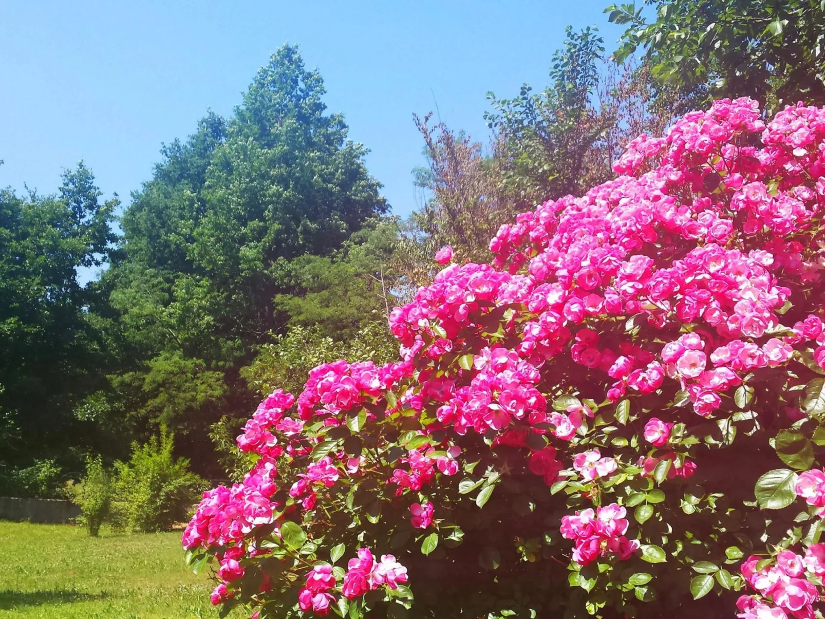Romantische Villa mit weitläufigem Garten-Buiten