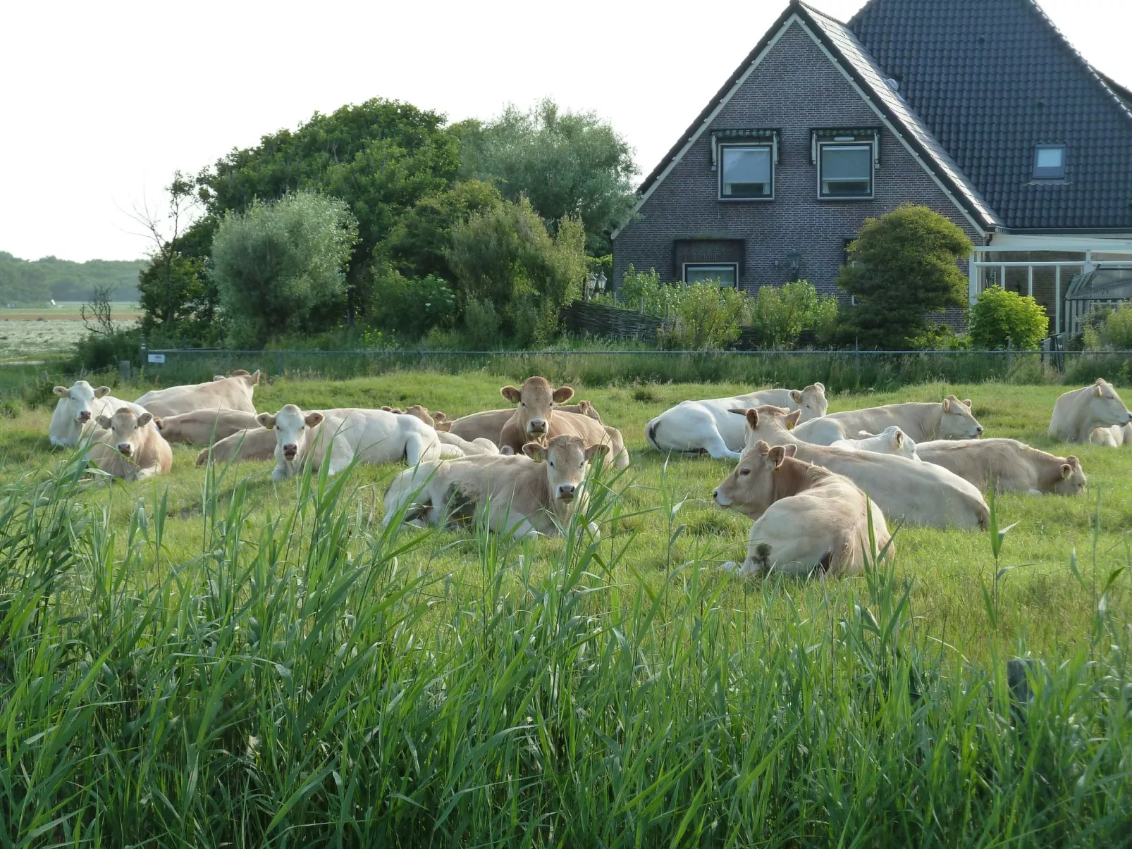 De Korre 2 in Callantsoog-Buiten