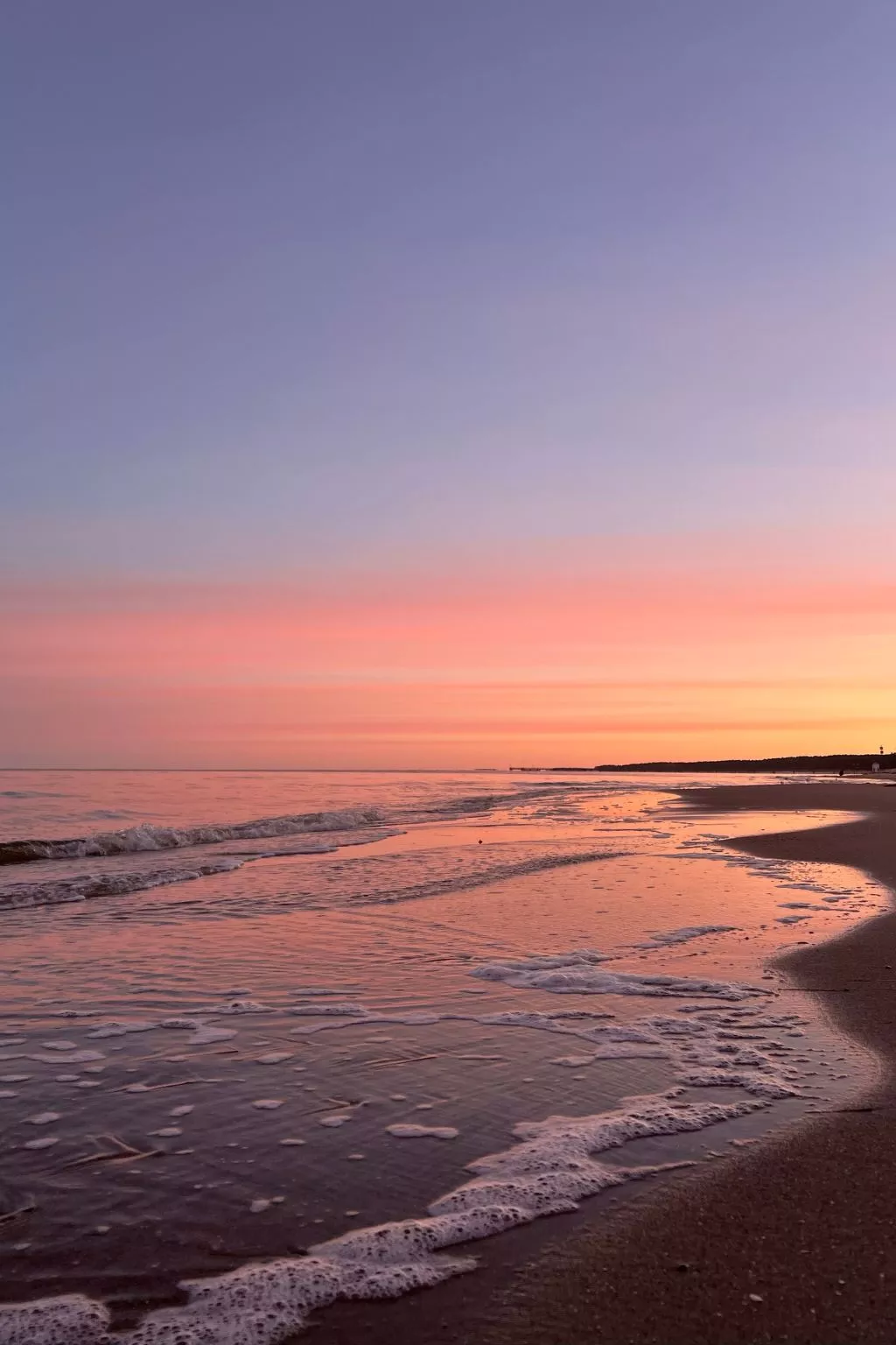 Lobster im Nauticum-Buiten