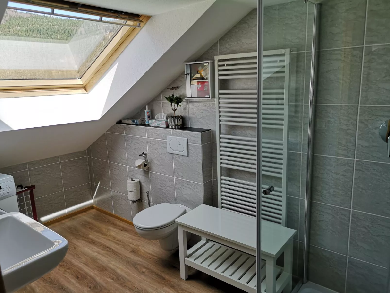 Haus Maria Hochschwarzwald, Garten umzäunt, Wald-Binnen