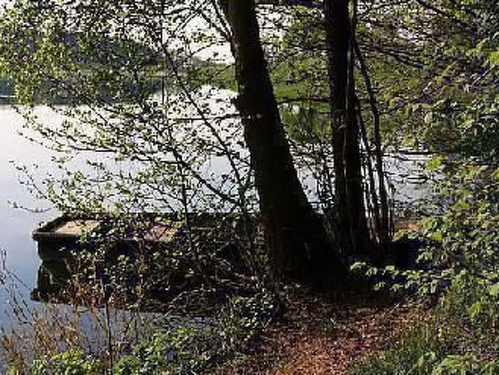 Ferien-Apartment  1-Buiten