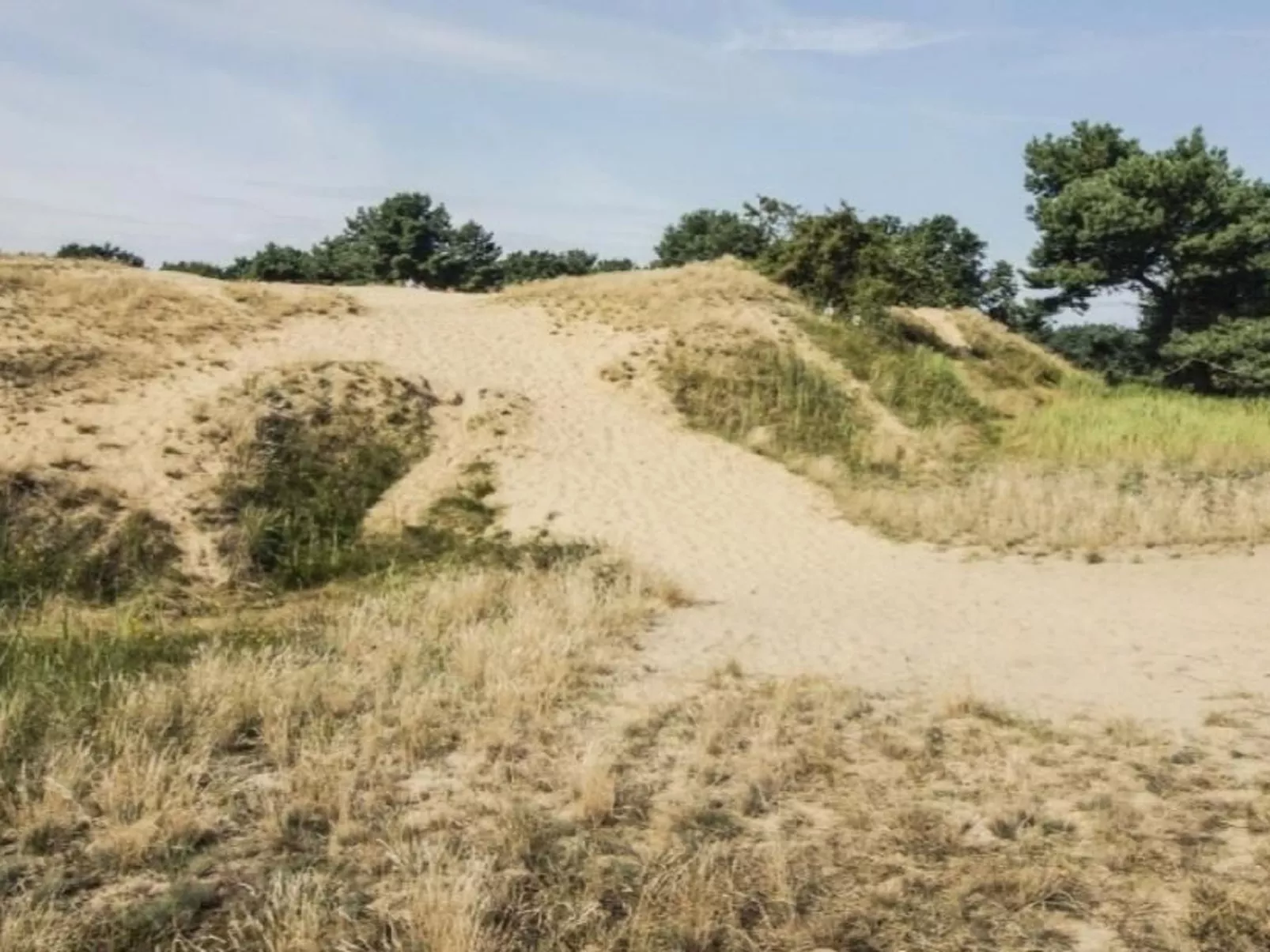 In Altwarp mit Botanischem Garten-Buiten