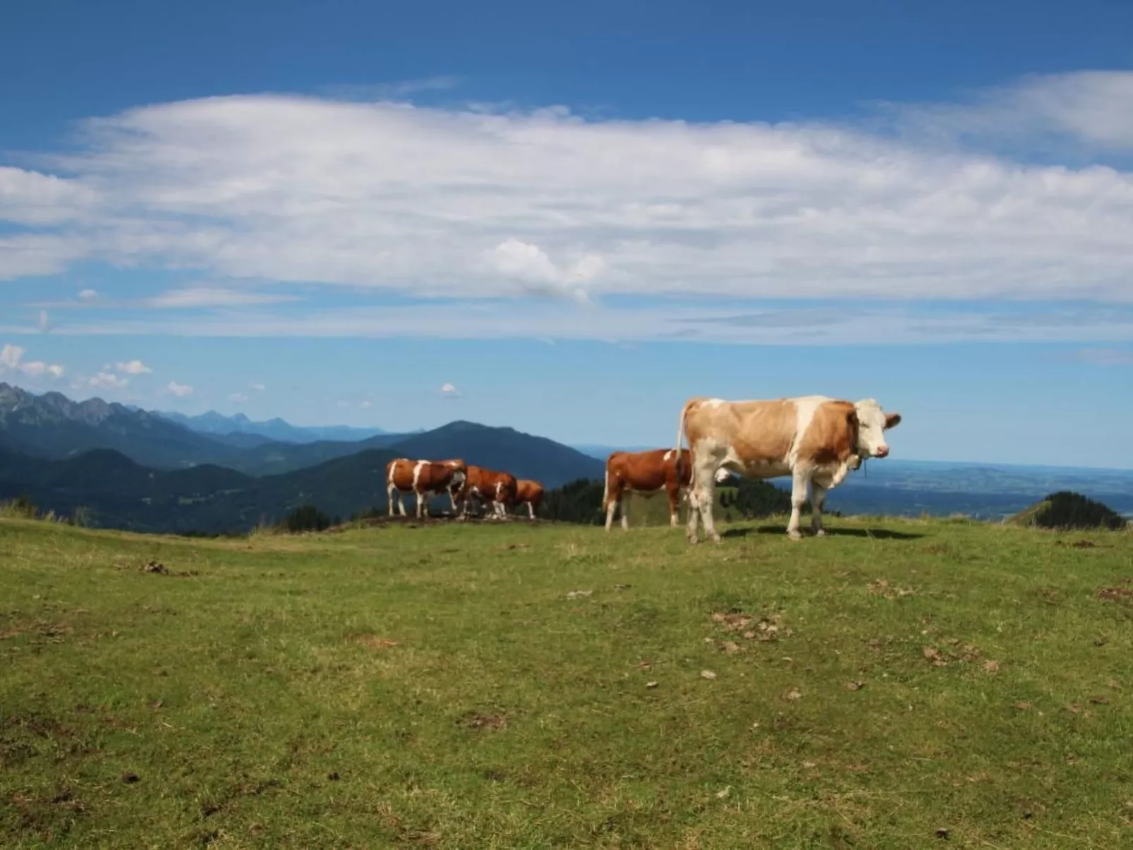 Mit Blick auf das Wasser-Buiten