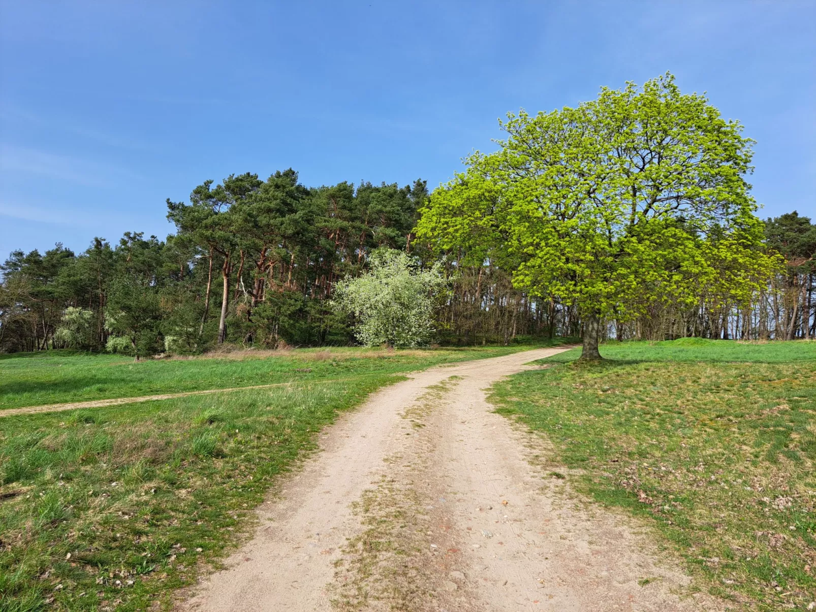 Fh "Molkenberg"-Buiten