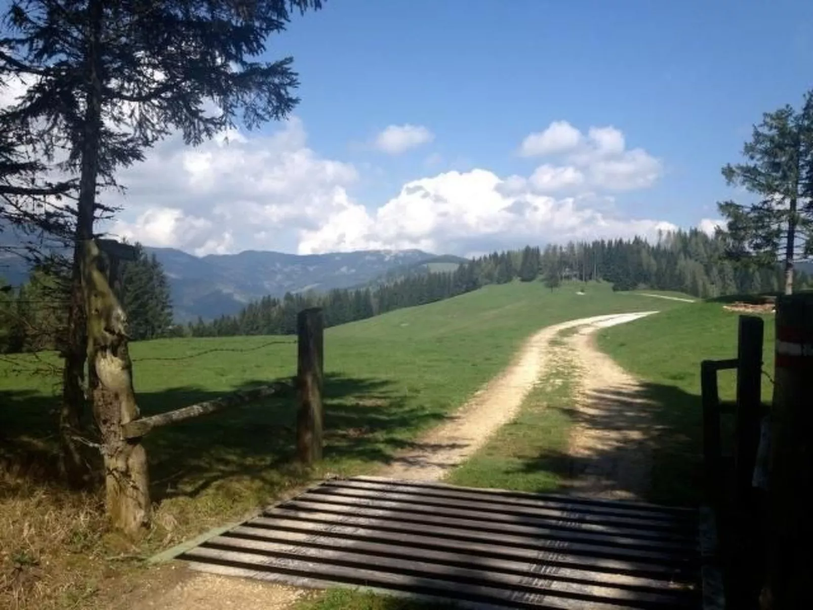 Almhaus am Hohenwart-Buiten