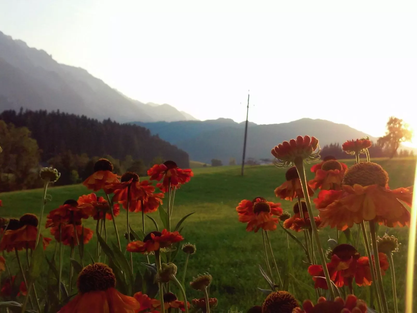 Gsenger Natur in Abtenau-Buiten