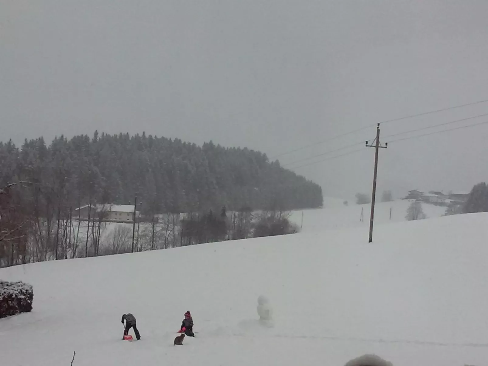 Herbst in Abtenau-Buiten