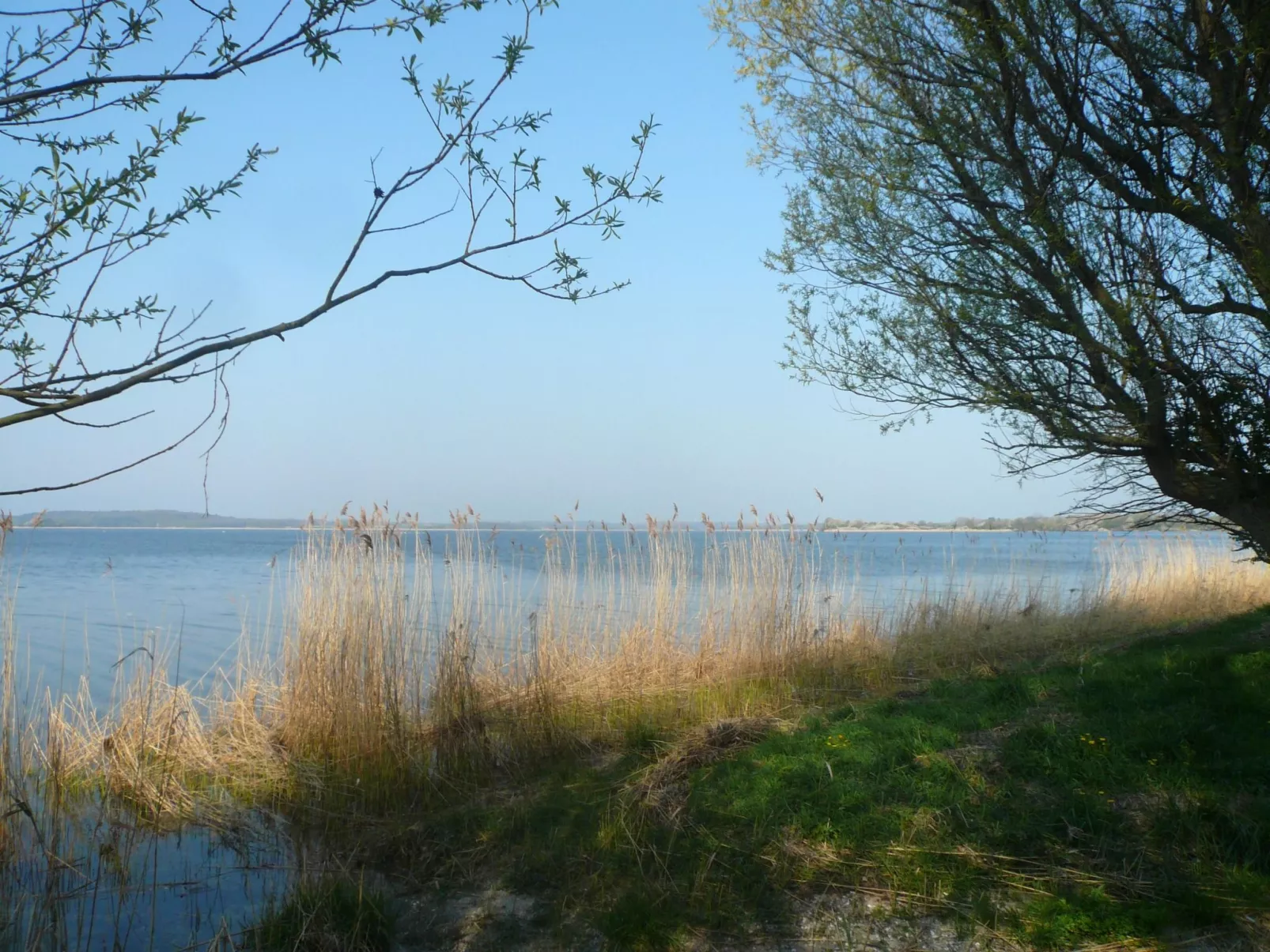 Studio am Rande eines Naturschutzgebietes-Buiten