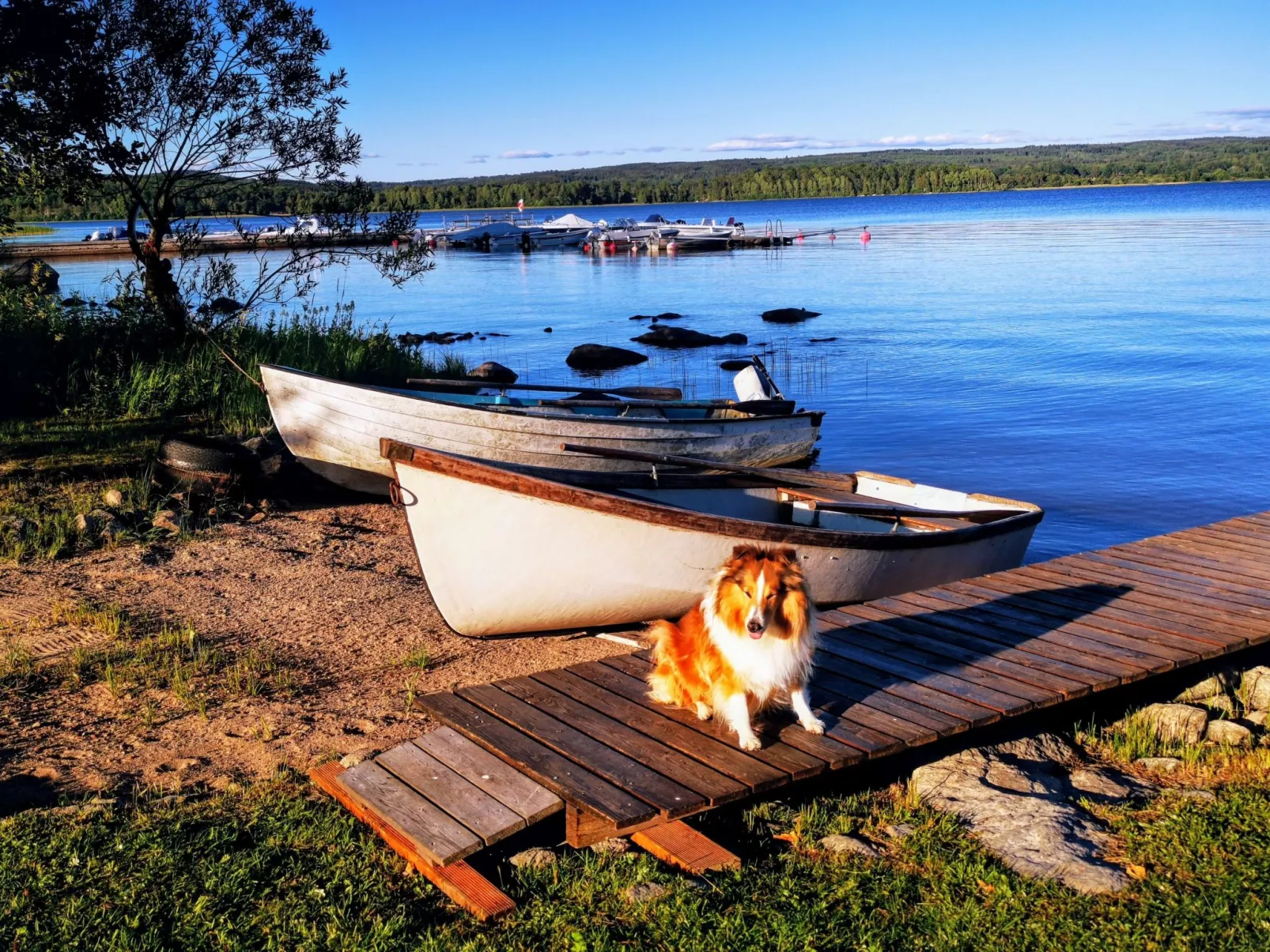 Am See Åsunden mit herrlicher Aussicht-Buiten