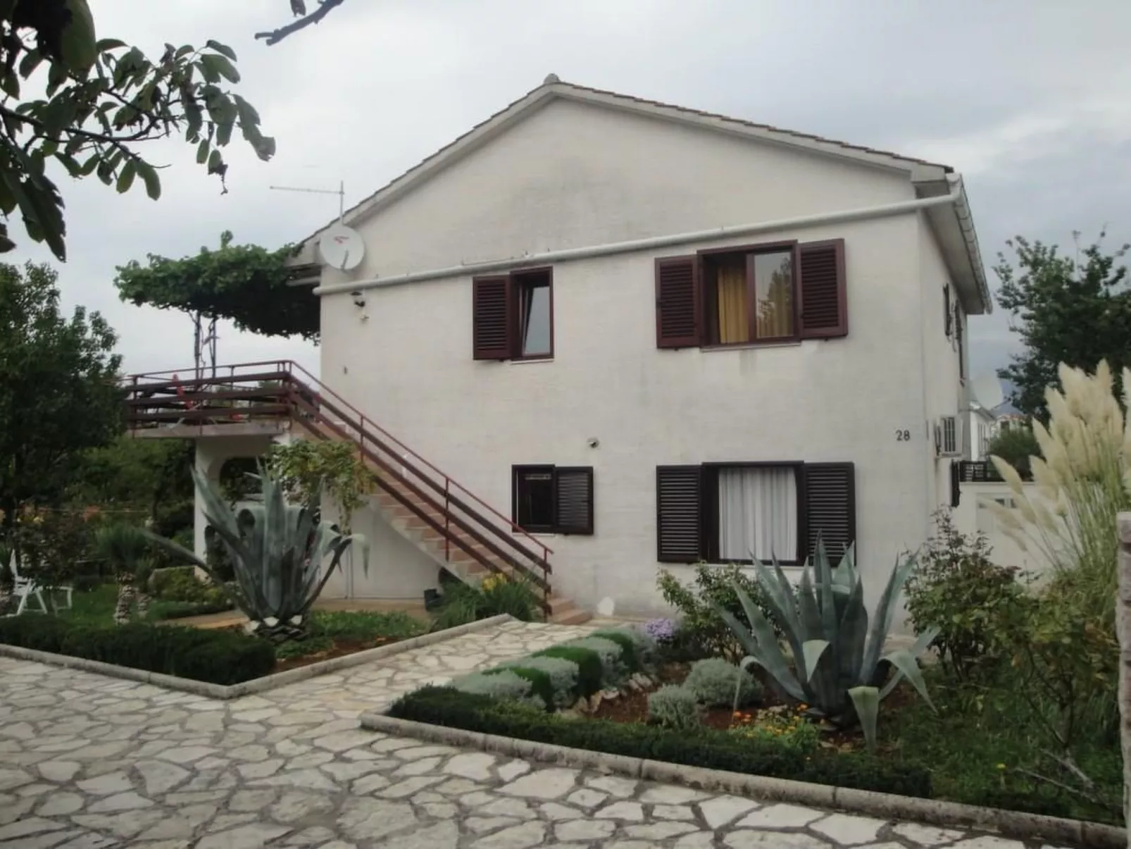 Viola - Image-tags.info