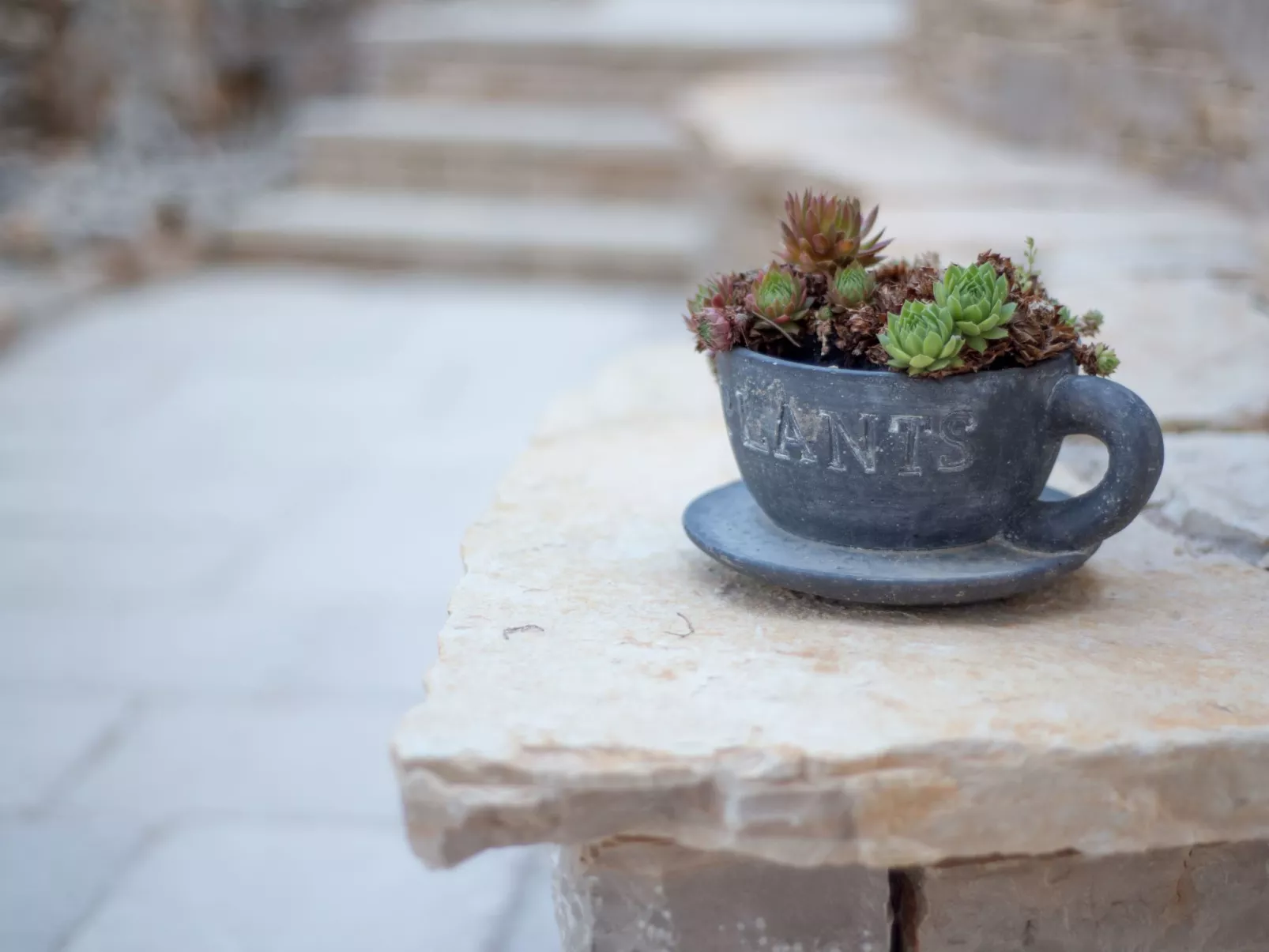 Wohnung "Villa Kos A-1" mit Pool-Buiten