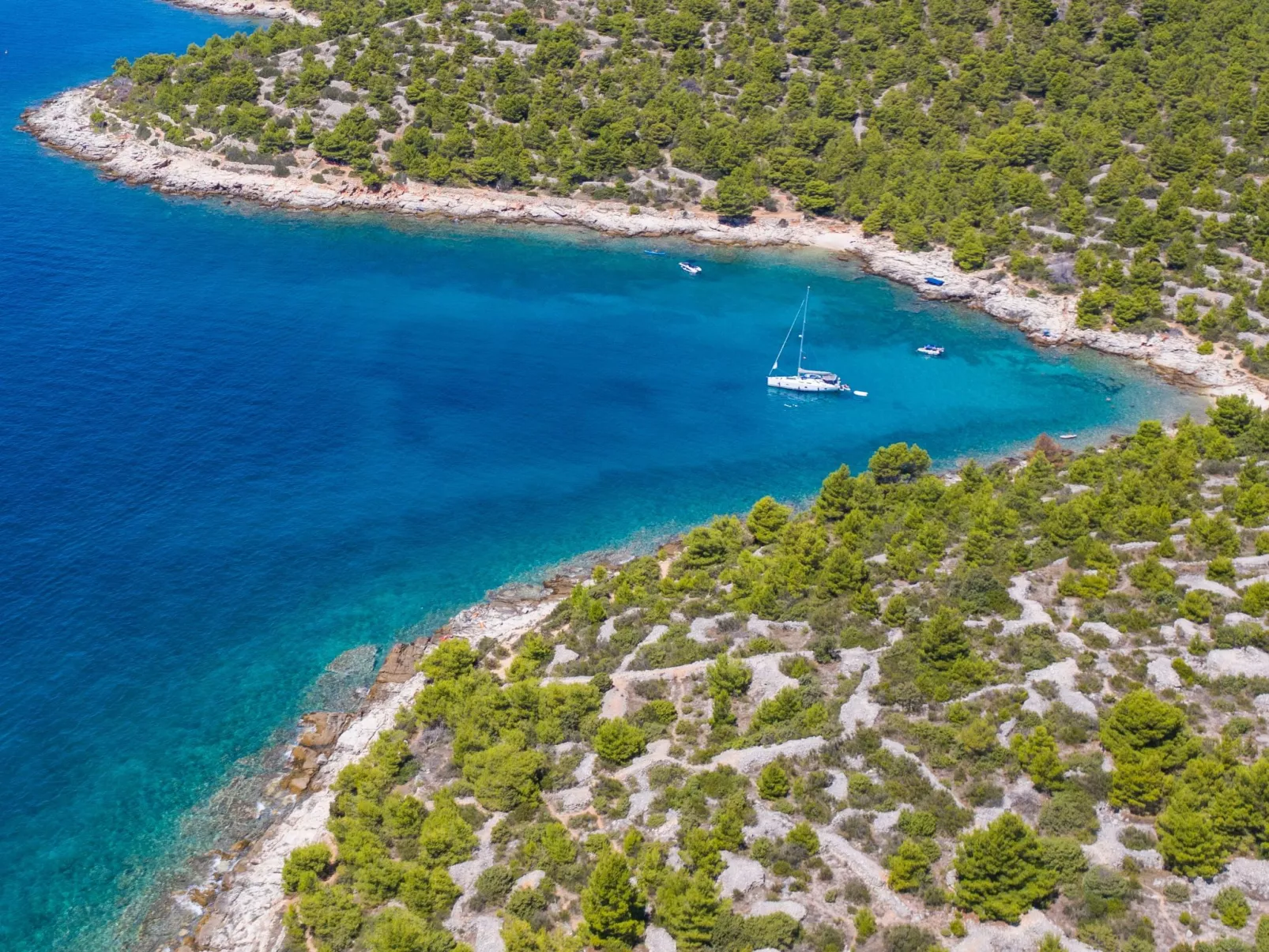 Wohnung mit Garten, Grill und Terrasse-Buiten