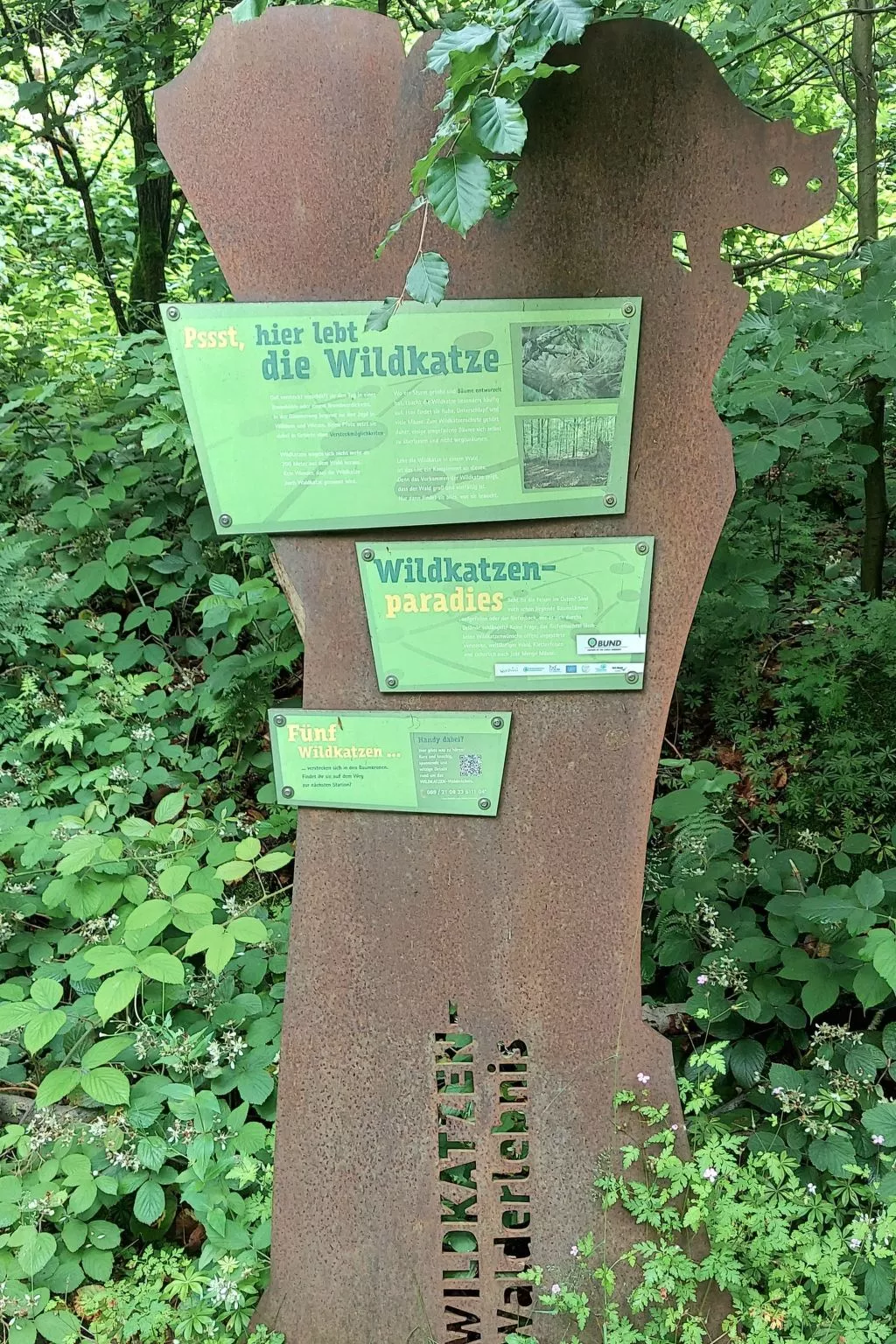 Wanderfalke II-Buiten