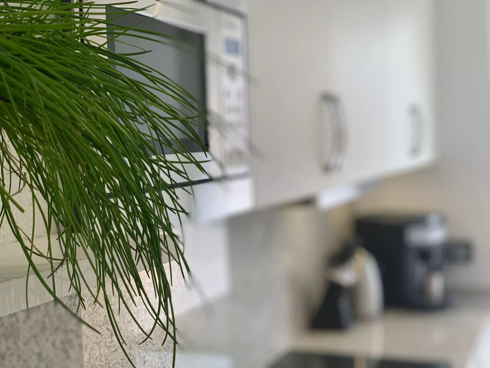 Ferienwohnung für 2-3 Personen-Image-tags.info