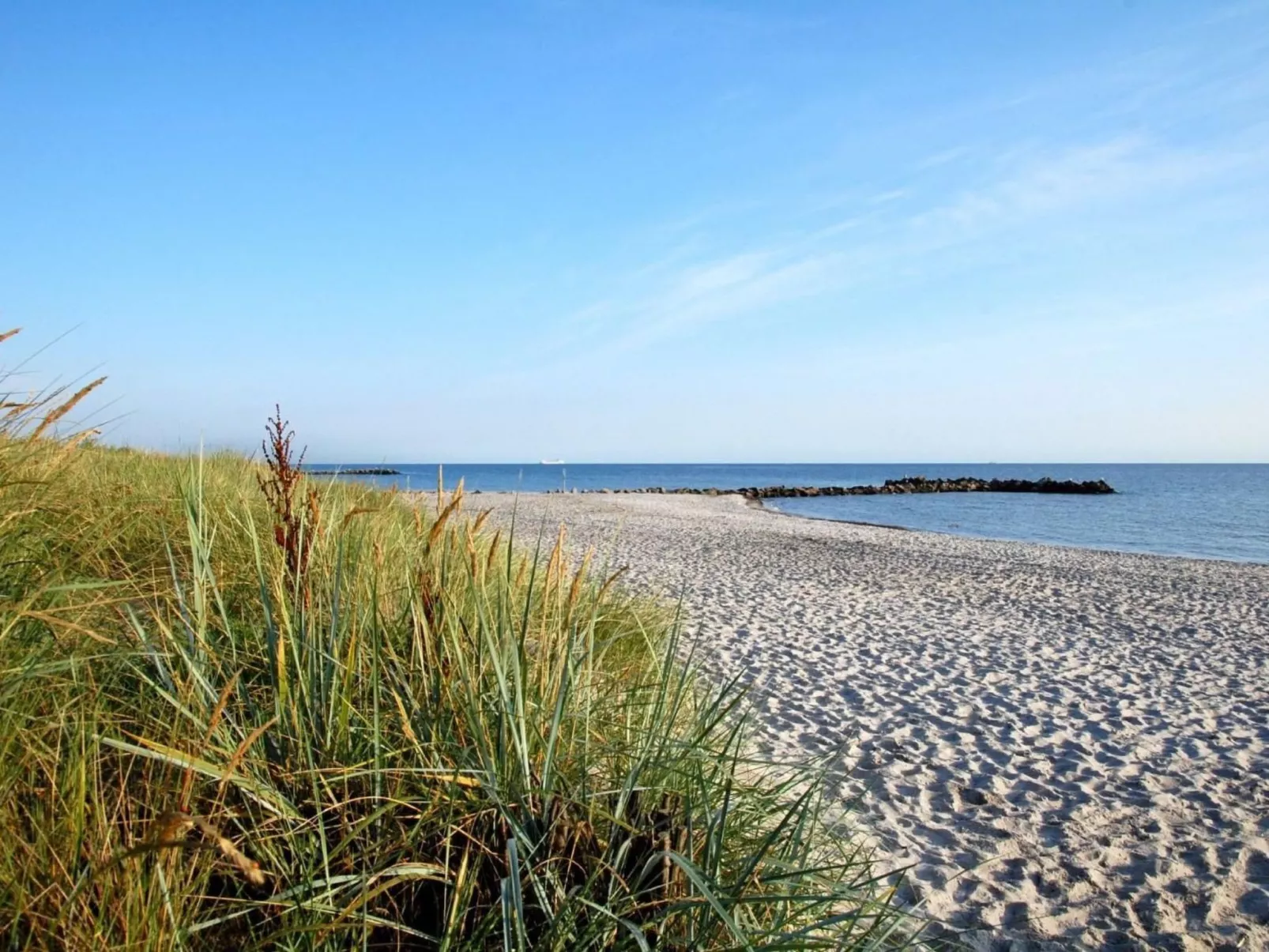 Ostsee-Ferienwohnung direkt hinter dem Deich-Buiten