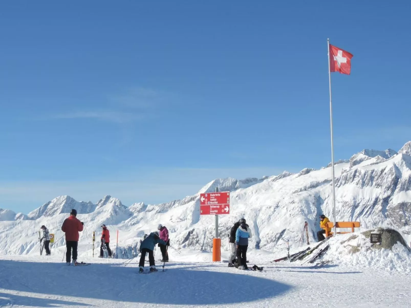 Talisman WG "Lilian"-Image-tags.info