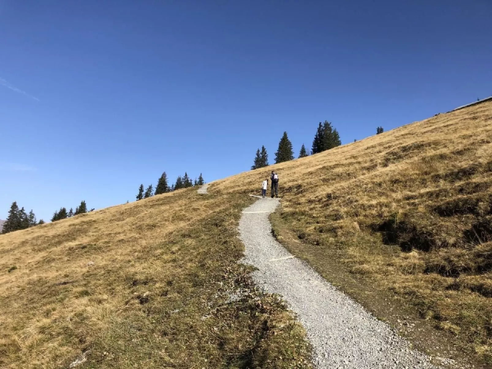 Chalet Bärgblüemli-Binnen