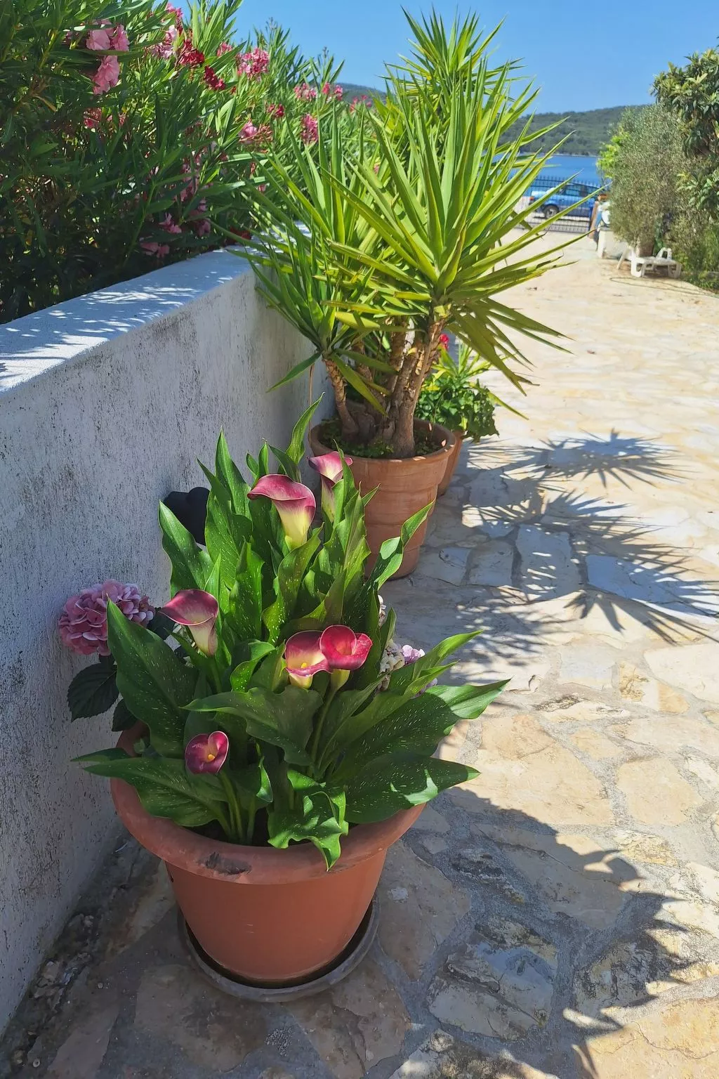 Studio für zwei Personen im Erdgeschoss-Buiten