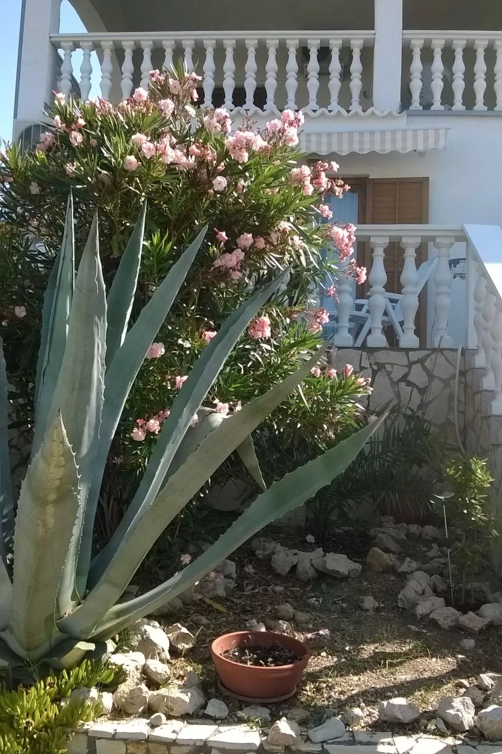 Apartment mit Meerblick-Buiten