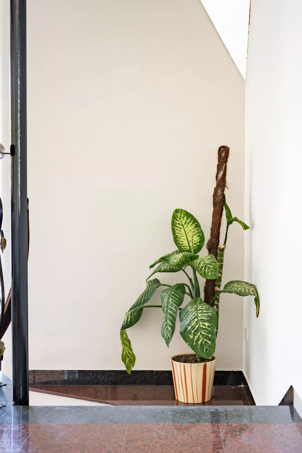 Studio-Wohnung Kleopatra-Binnen