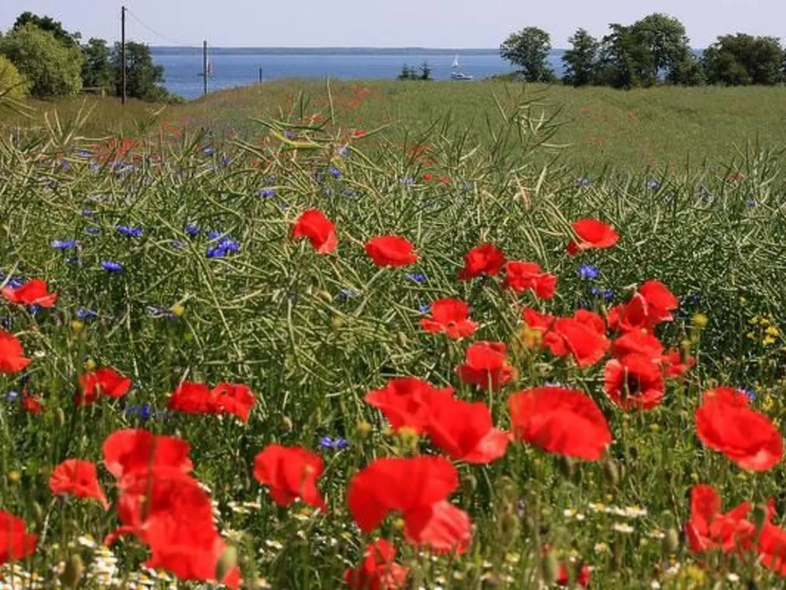 Müritzblick35-Buiten