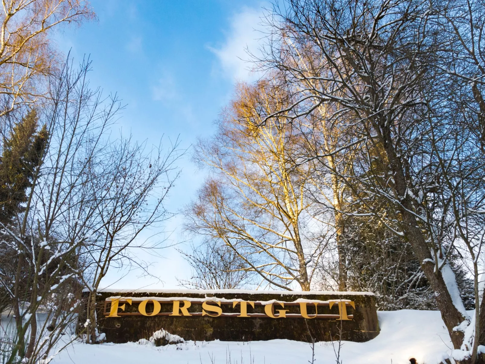 EXCLUSIVE FERIENWOHNUNG MIT EIGENER SAUNA-Buiten