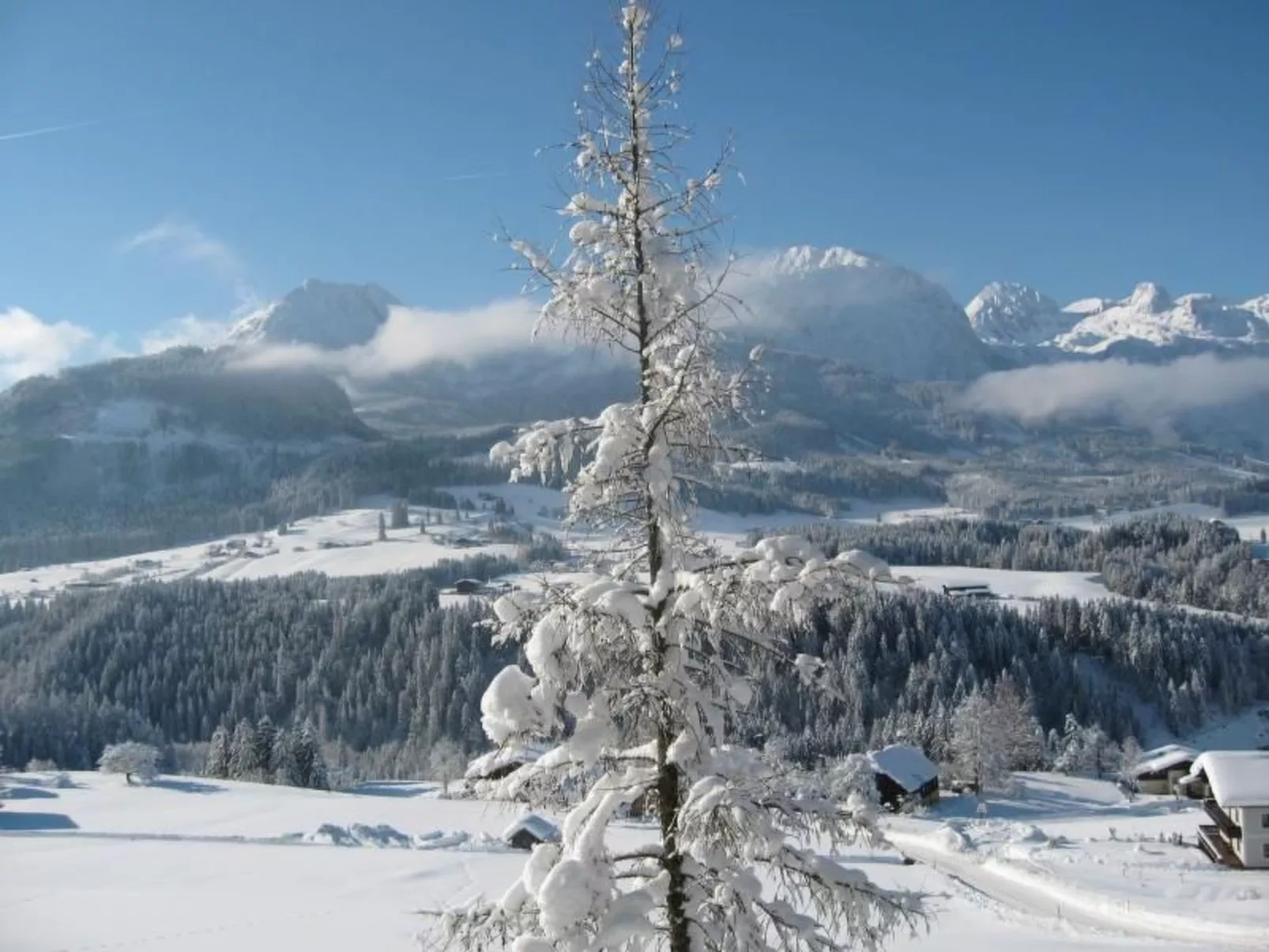 Luxusappartment-Image-tags.info