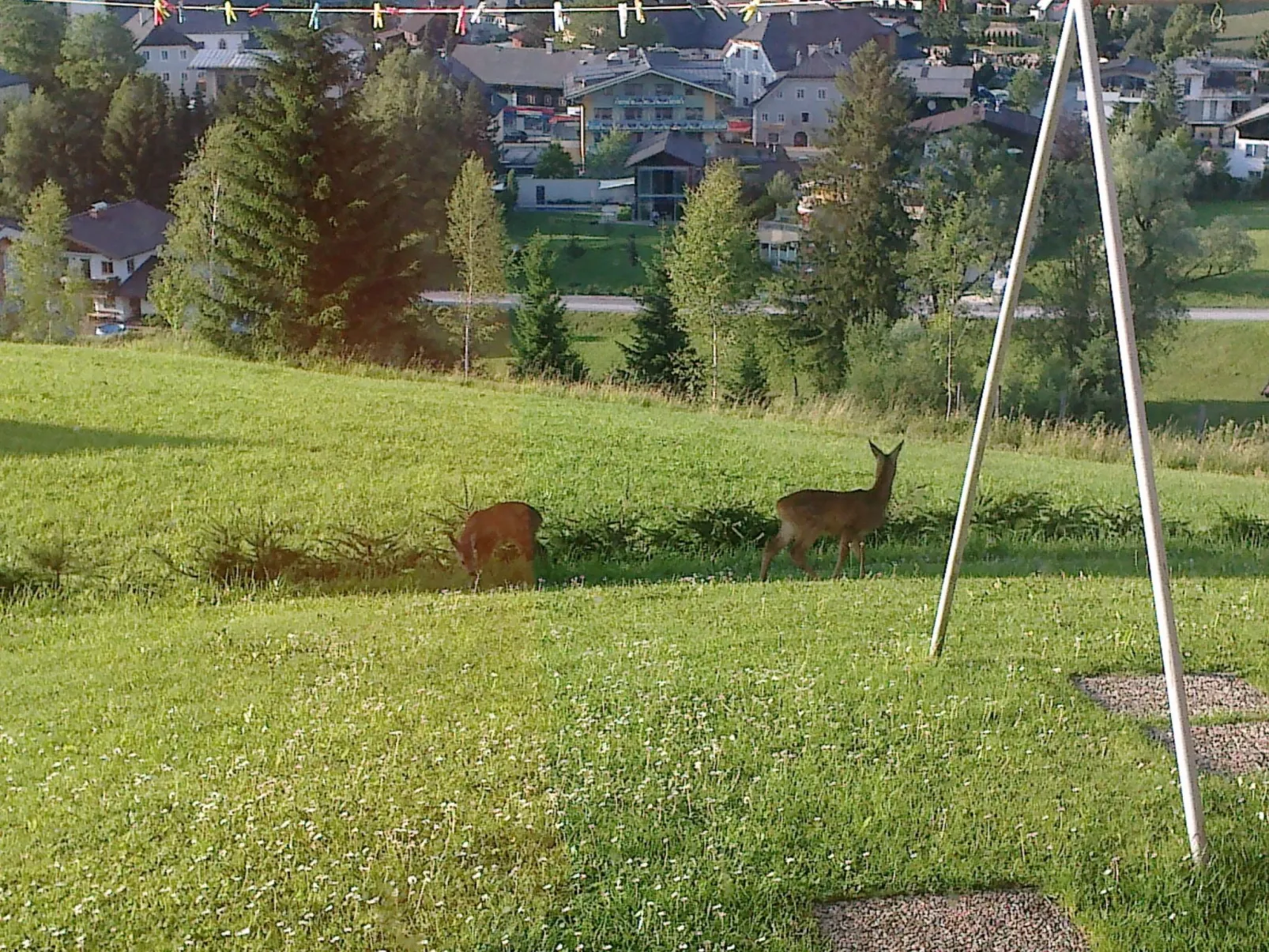 Apartment Bergblick-Image-tags.info