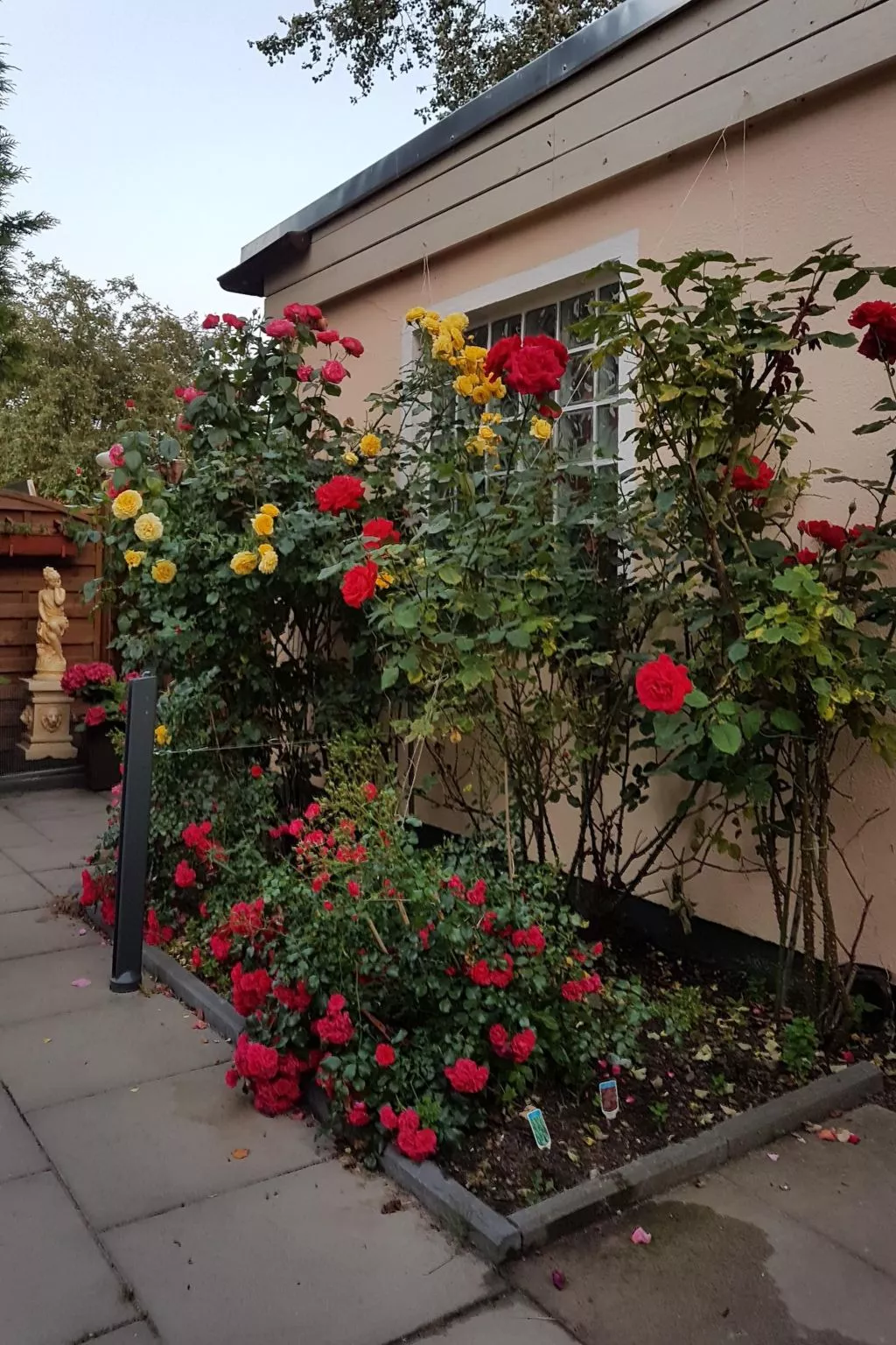 Portals Vells - Buiten