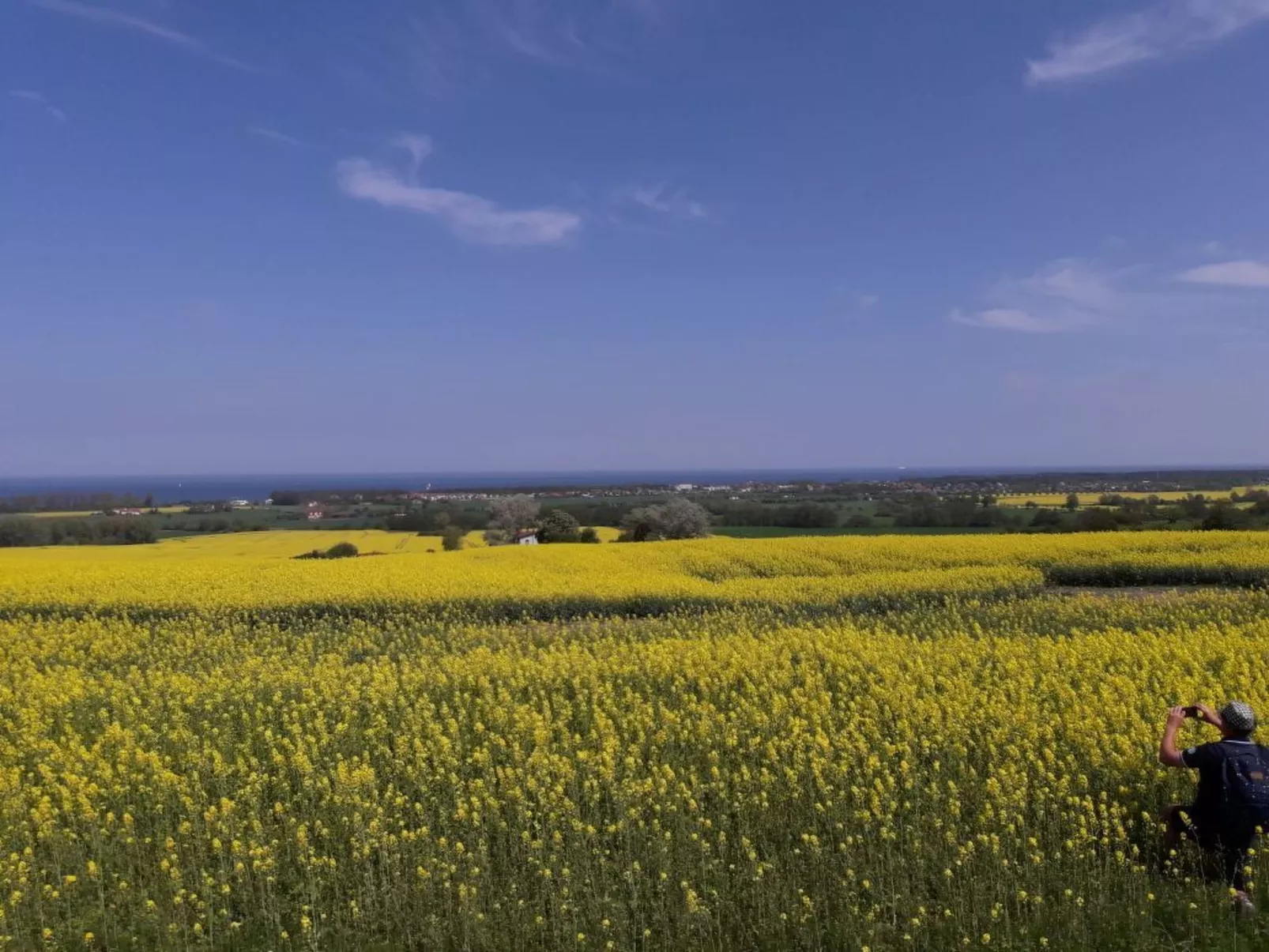 Bungalow "Lieschen"-Buiten