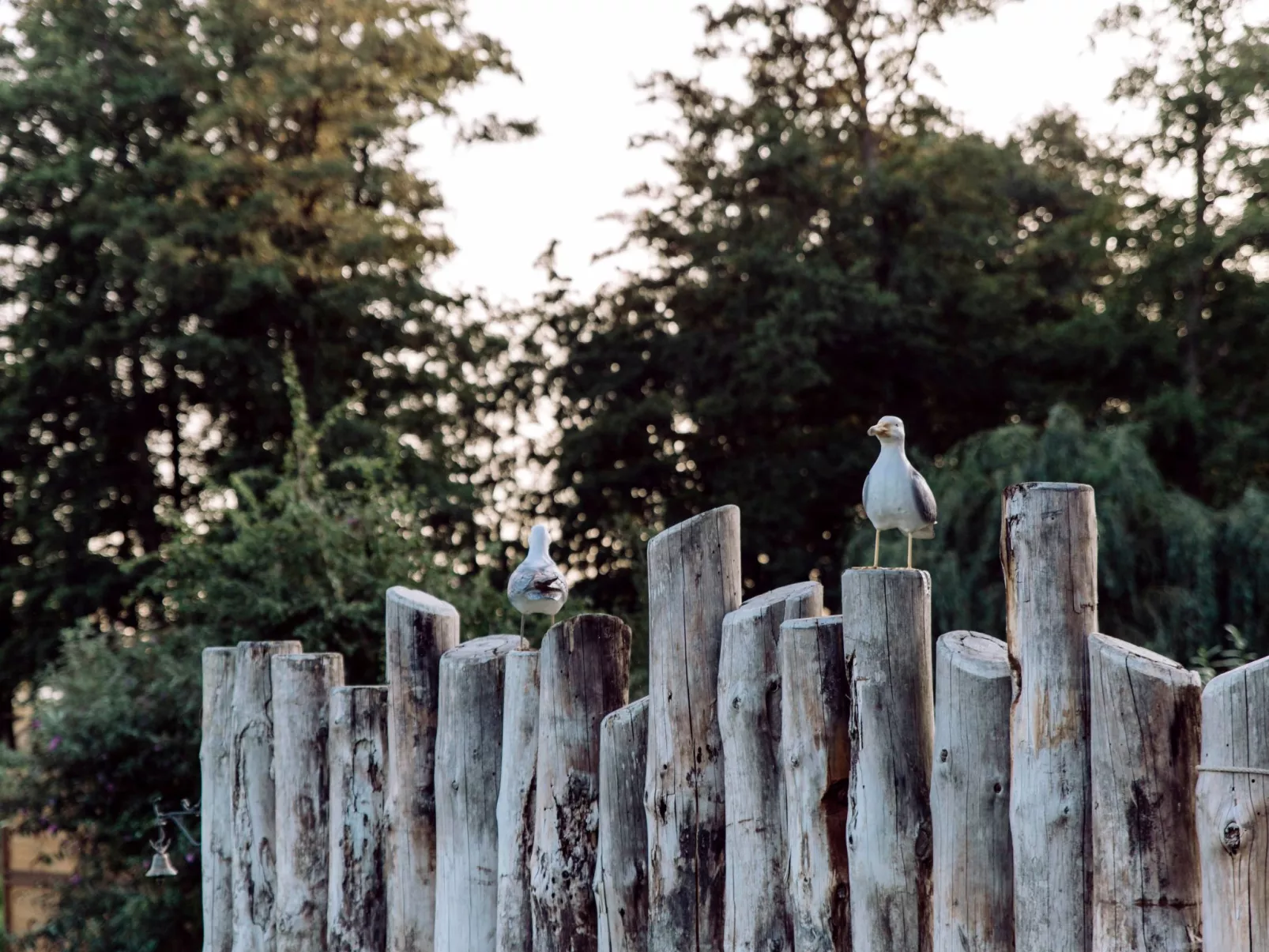 Admiral's Corner Lee-Buiten