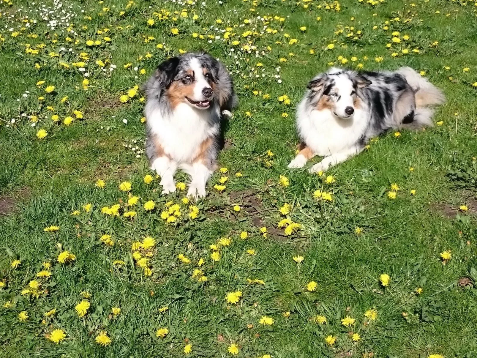 FeWo Star oben-Image-tags.info