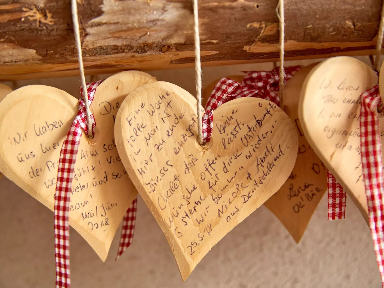 Chalet Promi-Alm in Flachau-Binnen