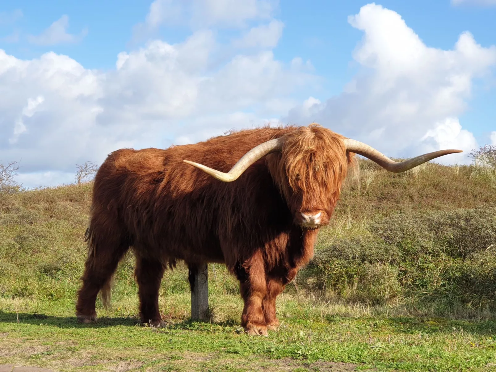 Sommerhaus in ruhiger Lage mit privatem Garten und Terrasse-Buiten