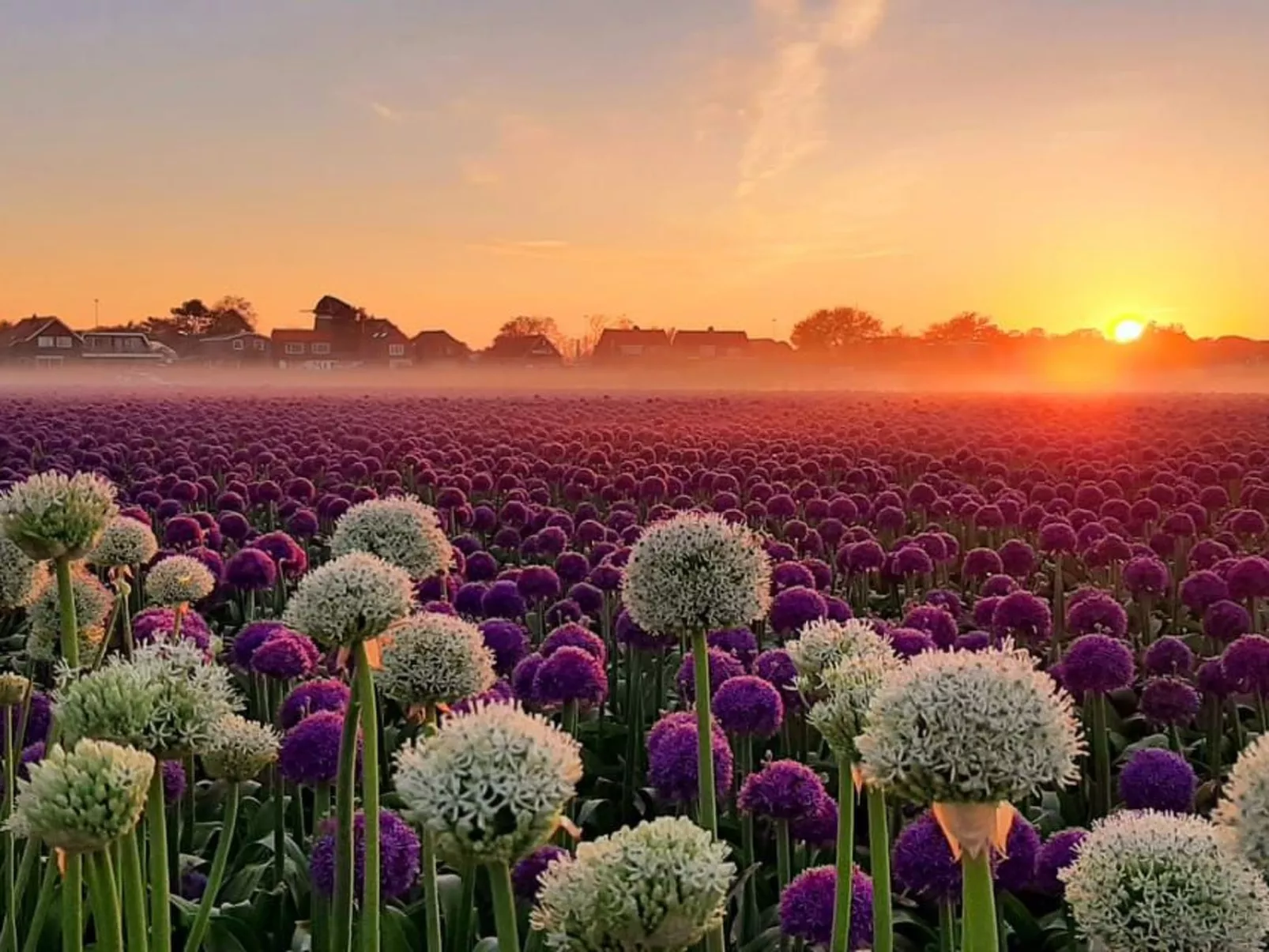 Sommerhaus Klein Wimmenum, Nähe Strand und Dünen-Buiten