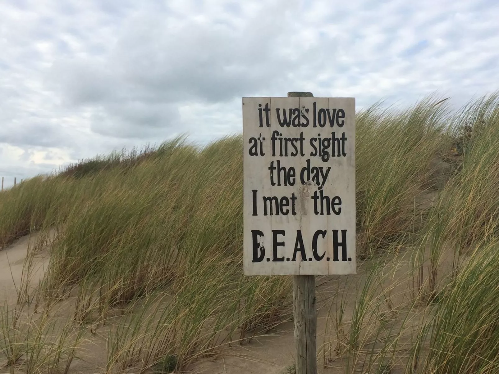 Bellavista-Image-tags.info